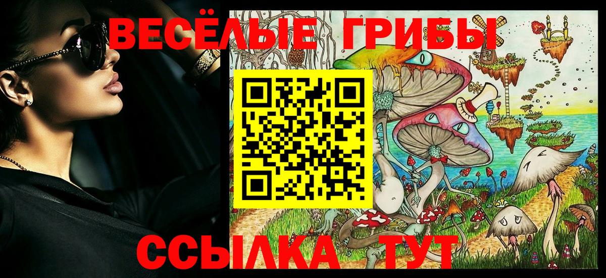 Псилоцибиновые грибы Magic Shrooms  даркнет сайт  Гагарин  Галлюциногенные грибы Magic Shrooms  Вход с VPN 